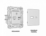 Розетка 2хUSB type A и C без рамки Ambrella Volt ALFA MA911010 250_100_2187204