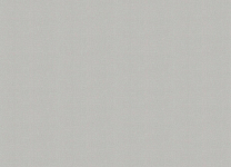A101309 Обои ARTSIMPLE (1*6) 10,00x1,06 винил на флизелине 250_100_2148277
