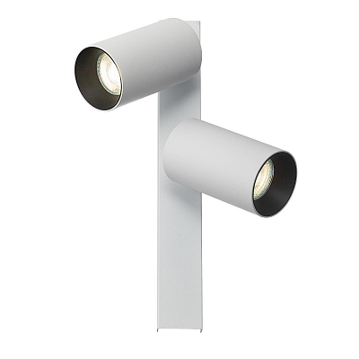 Спот Citilux AXEL CL512520 400_400_3076055