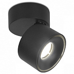 Спот Ambrella Light TN TN269 250_100_2006747