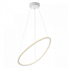 Подвесной светильник Citilux Trio CL215B050 100_100_1693586
