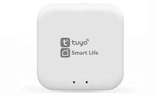 Конвертер Wi-Fi для смартфонов и планшетов Ambrella Light GL GL1920 500_191_3236024