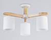 Люстра на штанге Ambrella Light TR TR83112 100_100_2026354