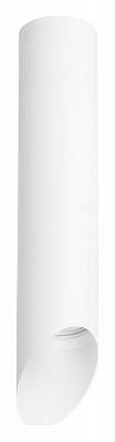 Накладной светильник Lightstar Rullo R49636 400_400_2448419