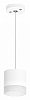 Подвесной светильник Lightstar Rullo RP348680 100_100_1717754
