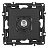 ТВ-розетка без рамки Arte Milano am-217 217.42-1.black 100_100_2302757