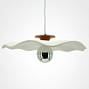 Подвесной светильник LIGHTERA Colorado LE101L-40R 100_100_2459842