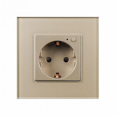 Розетка с заземлением Arlight OMALI 050218 400_400_681455