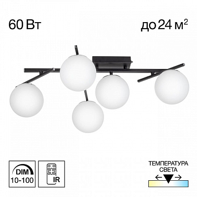 Потолочная люстра Citilux Dorsy CL223152 400_400_1694241