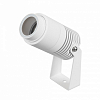 Настенно-потолочный прожектор Arlight RAY 042676(1) 100_100_681154