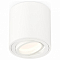 Накладной светильник Ambrella Light XS XS7531001