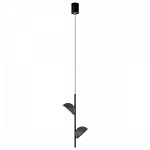 Подвесной светильник Loft it Mons 10335 Black 250_100_1851652