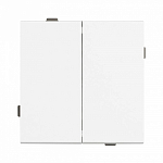 Выключатель двухклавишный без рамки Arlight SWT 054058 250_100_1602753