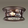 Накладной светильник Odeon Light Mavret 4961/2C 100_100_1725235