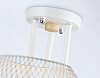 Люстра на штанге Ambrella Light TR TR80163 100_100_2017838
