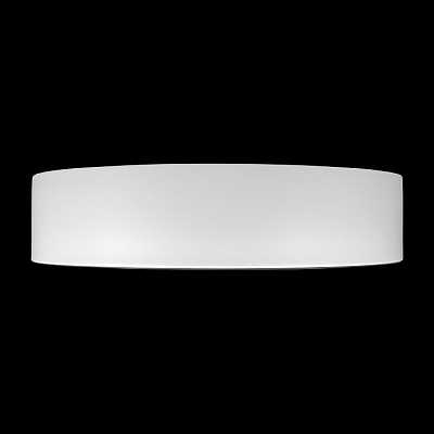 Накладной светильник Loft it Coin 10202 WB 400_400_2630853