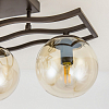 Потолочная люстра Citilux Бриз CL106265 100_100_1687689
