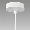Подвесной светильник Lumion TORINA 8265/5 100_100_1867721