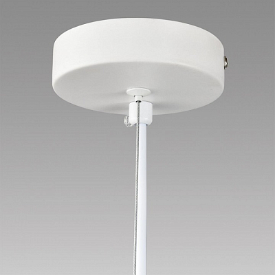Подвесной светильник Lumion TORINA 8265/5 400_400_1867721