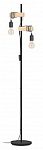 Торшер Eglo TOWNSHEND 43516 250_100_Array