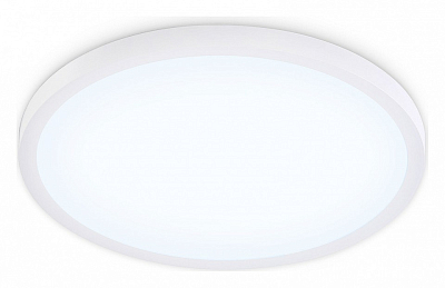 Накладной светильник Ambrella Light FZ FZ1955 400_400_2442149