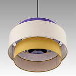 Подвесной светильник Lumion PALERMO 8281/4 250_100_Array