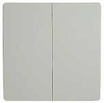 Выключатель беспроводной двухклавишный Feron TM92 51021 250_100_Array