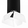 Накладной светильник Lightstar Rullo R6497486 100_100_1715218