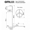 Торшер Citilux Тевин CL806031 100_100_1674245