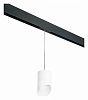 Подвесной светильник Lightstar Rullo PRORP348686 100_100_2460328