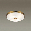 Накладной светильник Odeon Light Pelow 4956/4 100_100_1725174