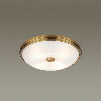 Накладной светильник Odeon Light Pelow 4956/4 400_400_1725174