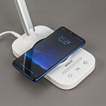 Настольная лампа декоративная Citilux Ньютон CL803051 250_100_1670136