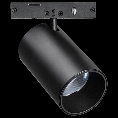 Светильник на штанге Lightstar Linea 206237 400_400_1720970