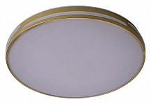 Накладной светильник Zortes Gabby ZRS.90610.50 250_100_Array