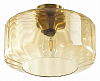 Накладной светильник Odeon Light Binga 4747/1C 100_100_3157716
