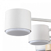 Потолочная люстра Lumion Rondo 8196/10C 100_100_1866457