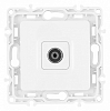 ТВ-розетка без рамки Arte Milano am-217 217.43-1.white 100_100_2167826