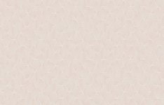 ARTS19 002 Обои Artsimple (1*6) 10,05x1,00 флизелин 250_100_Array
