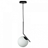 Подвесной светильник Loft it Icl 2579-A 100_100_1846964