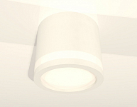 Накладной светильник Ambrella Light XS XS8110003 250_100_2012750