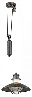 Подвесной светильник Odeon Light Dante 4164/1A 400_400_1723676