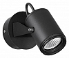 Светильник на штанге Odeon Light Stima 6647/10WL 100_100_2235980