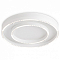 Накладной светильник Ambrella Light FL FL5821