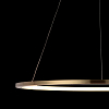 Подвесной светильник Loft it Ring 10014L 100_100_1845854