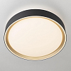 Накладной светильник Citilux BOSS CL751251G 100_100_3148860