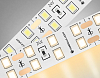 Лента светодиодная Ambrella Light GS GS3601 100_100_2439355