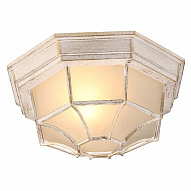 Накладной светильник Arte Lamp Pegasus A3121PF-1WG 500_191_2444314