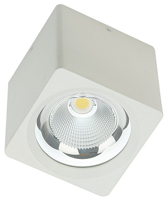 Накладной светильник Fiberli CH-SD220 12120103 400_400_3151353
