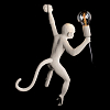 Бра Loft it Monkey 10314W/A 100_100_1850321
